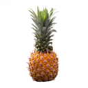 Malaysia Sarawak Pineapple 砂劳越黄梨