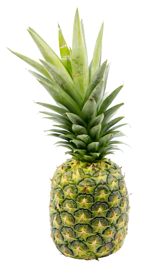 Malaysia Sarawak Pineapple 砂劳越黄梨