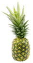 Malaysia Sarawak Pineapple 砂劳越黄梨