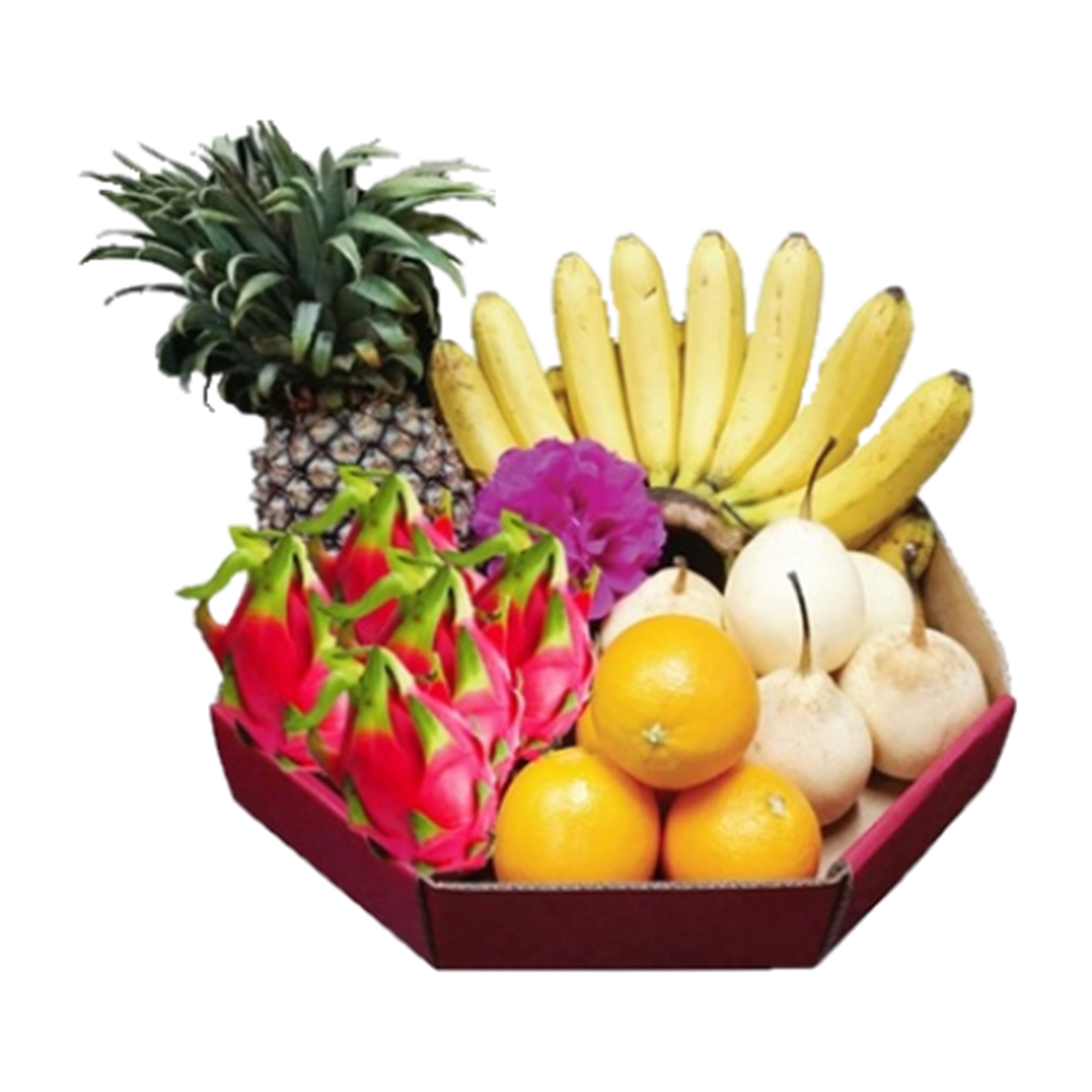 Five Type Fruits