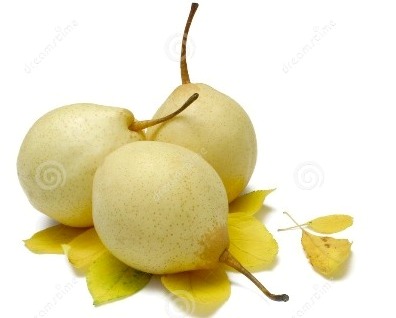 Ya Pear 鸭梨 【80pcs】