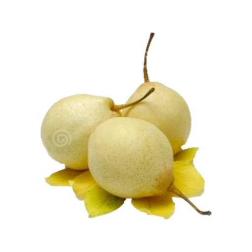 Ya Pear【80pcs】