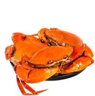 Steam Crab 蒸螃蟹(肉蟹200g-300g)